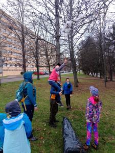 IMG_20260325_175222_075.jpg