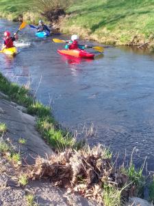 IMG_20260401_170142.jpg